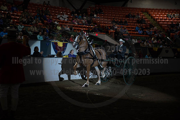 BIGE_09302016_SCL_4477