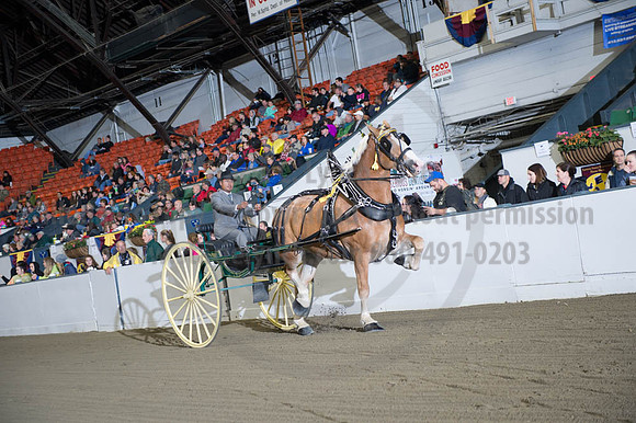 BIGE_09302016_SCL_4402