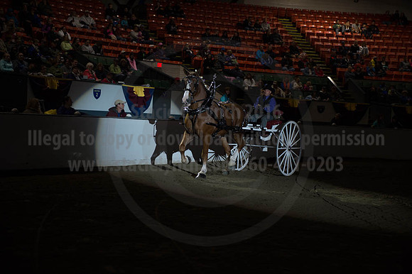 BIGE_09302016_SCL_4493
