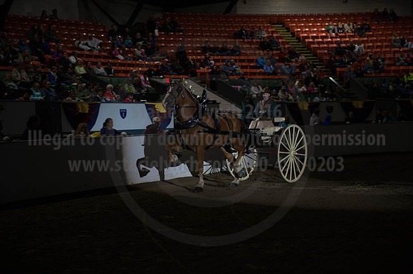 BIGE_09302016_SCL_4484