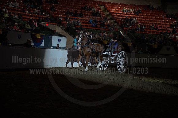 BIGE_09302016_SCL_4492