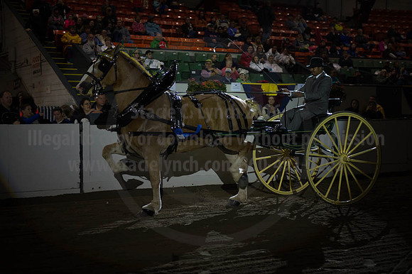 BIGE_09302016_SCL_4497