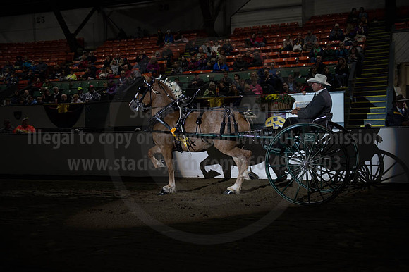 BIGE_09302016_SCL_4479