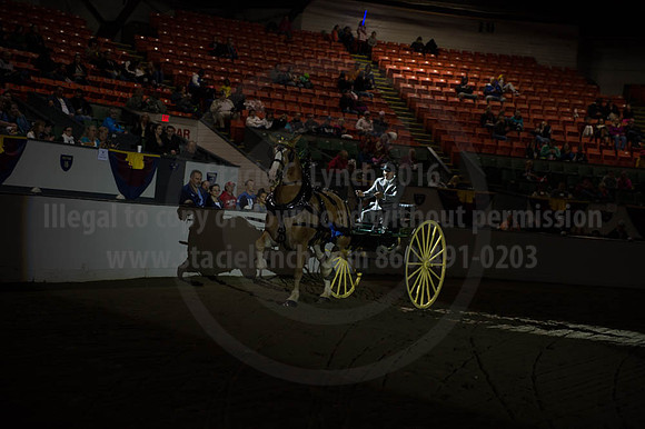 BIGE_09302016_SCL_4494