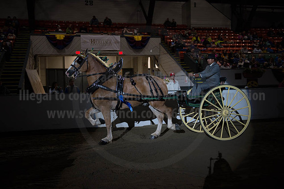 BIGE_09302016_SCL_4469