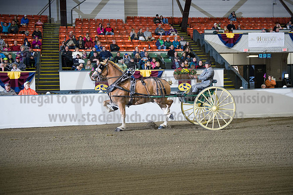 BIGE_09302016_SCL_4380