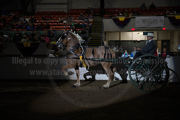BIGE_09302016_SCL_4478