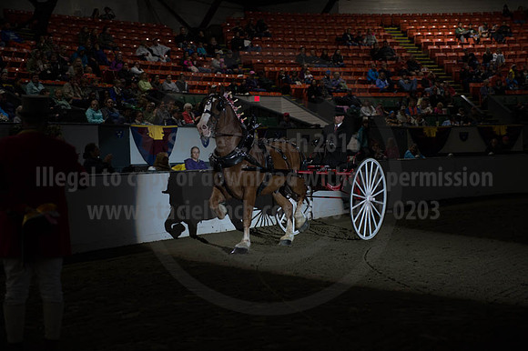 BIGE_09302016_SCL_4473