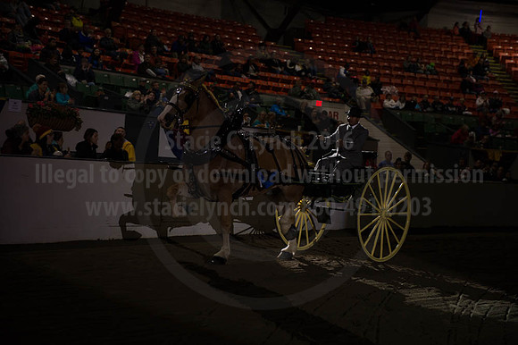 BIGE_09302016_SCL_4495