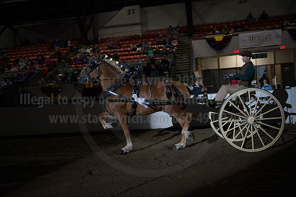 BIGE_09302016_SCL_4486