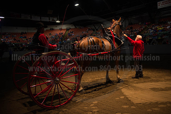 BIGE_09302016_SCL_4474