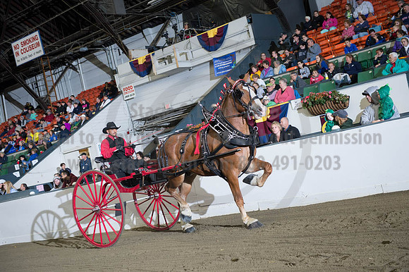 BIGE_09302016_SCL_4407