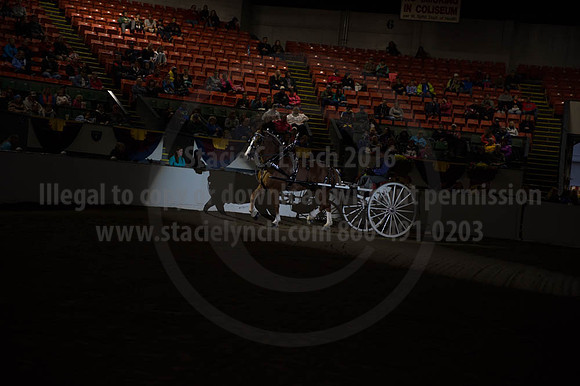 BIGE_09302016_SCL_4491