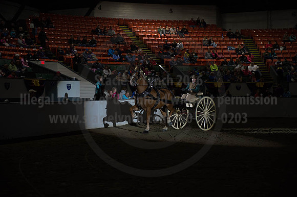 BIGE_09302016_SCL_4481