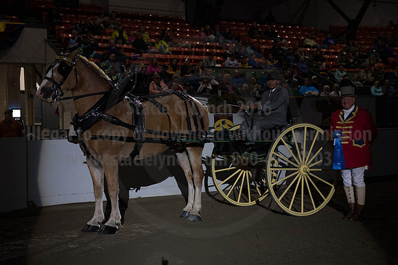 BIGE_09302016_SCL_4468