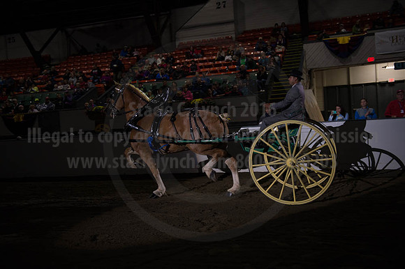 BIGE_09302016_SCL_4470