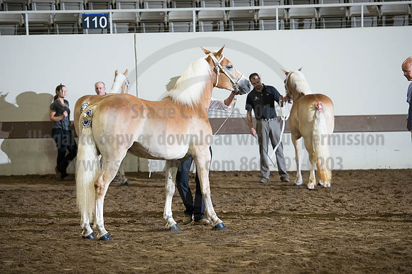 ISF_08192016_SCL_4428