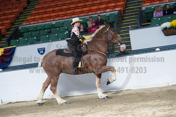 NABC8_10142016_SCL_8351