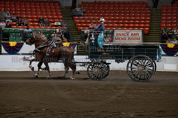 2019BigE_09272019_SCL_7773