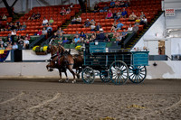 2019BigE_09272019_SCL_7774