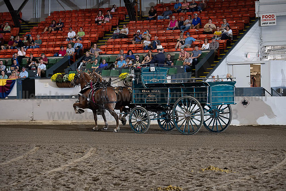2019BigE_09272019_SCL_7774
