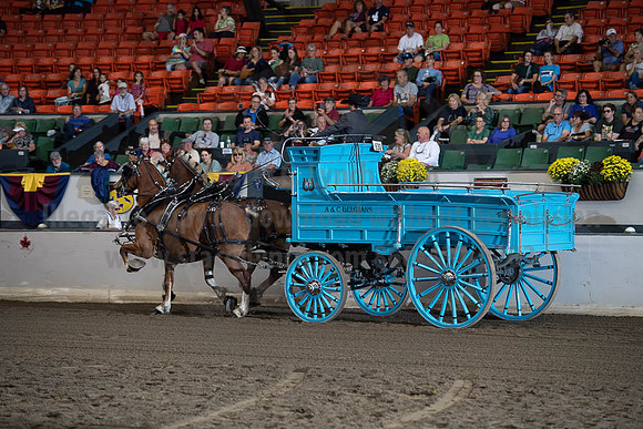 2019BigE_09272019_SCL_7781