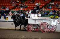 2019BigE_09272019_SCL_7784