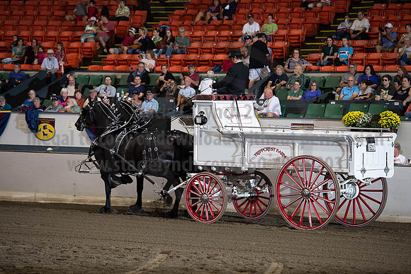 2019BigE_09272019_SCL_7784