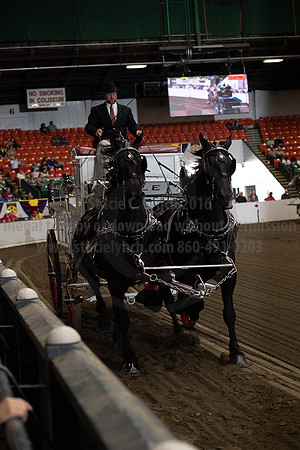 2019BigE_09272019_SCL_7787
