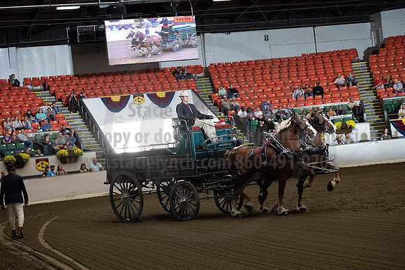 2019BigE_09272019_SCL_7788