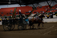2019BigE_09272019_SCL_7789