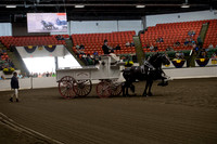 2019BigE_09272019_SCL_7792