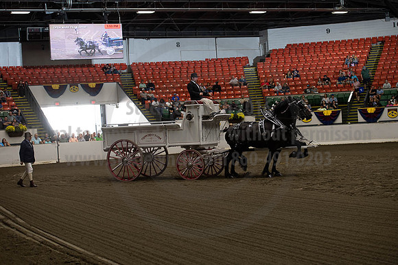 2019BigE_09272019_SCL_7792