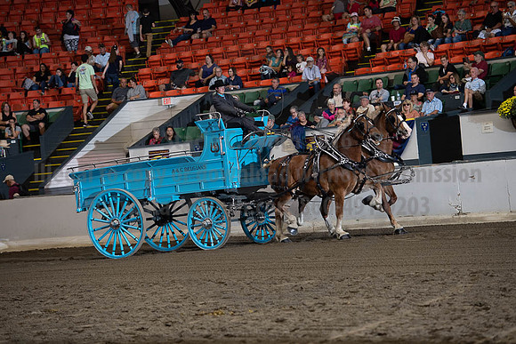 2019BigE_09272019_SCL_7794