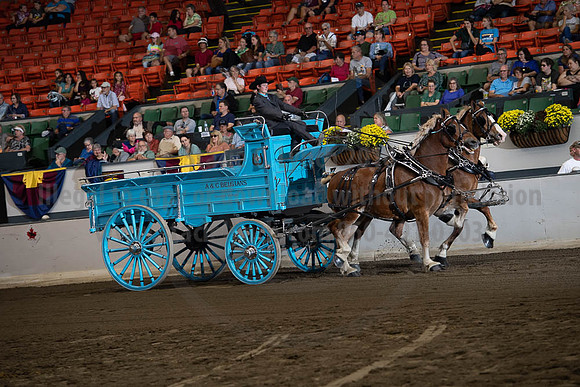 2019BigE_09272019_SCL_7795