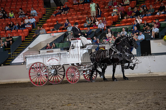 2019BigE_09272019_SCL_7797
