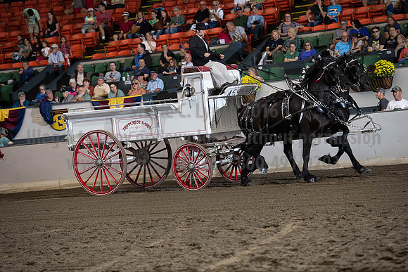 2019BigE_09272019_SCL_7798