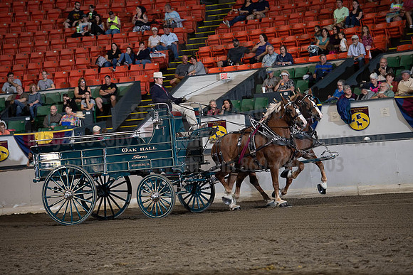 2019BigE_09272019_SCL_7799