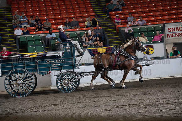 2019BigE_09272019_SCL_7800