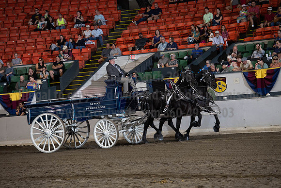 2019BigE_09272019_SCL_7802