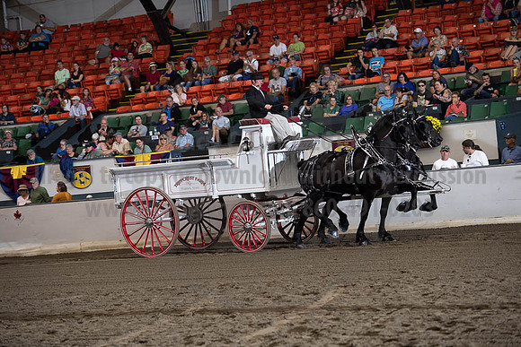 2019BigE_09272019_SCL_7803