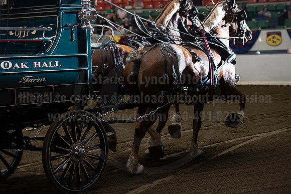 2019BigE_09272019_SCL_7806