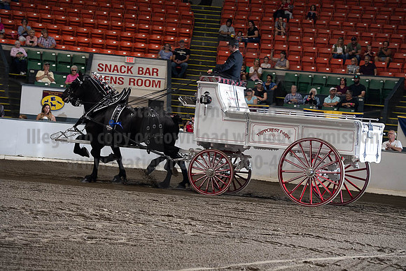 2019BigE_09272019_SCL_7809