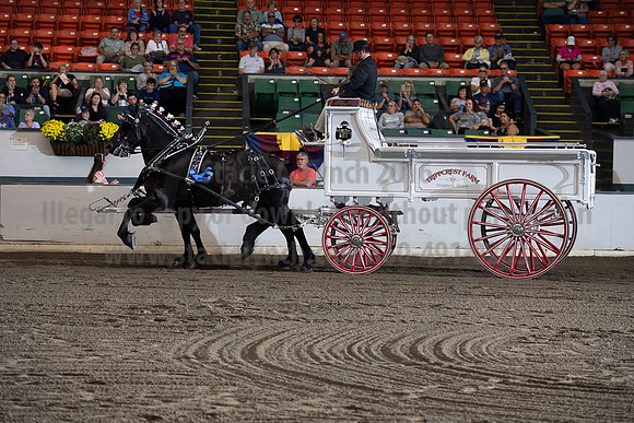 2019BigE_09272019_SCL_7810