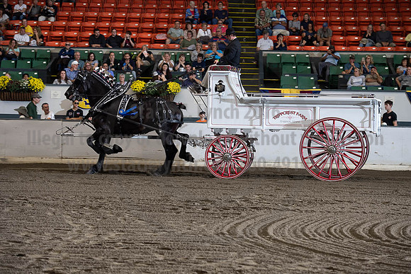 2019BigE_09272019_SCL_7811