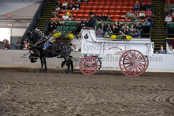 2019BigE_09272019_SCL_7812