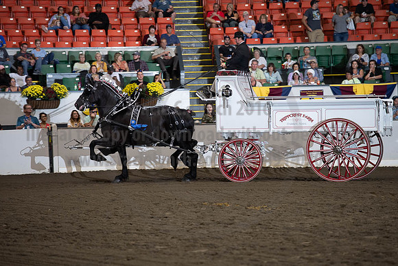 2019BigE_09272019_SCL_7813