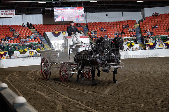 2019BigE_09272019_SCL_7815