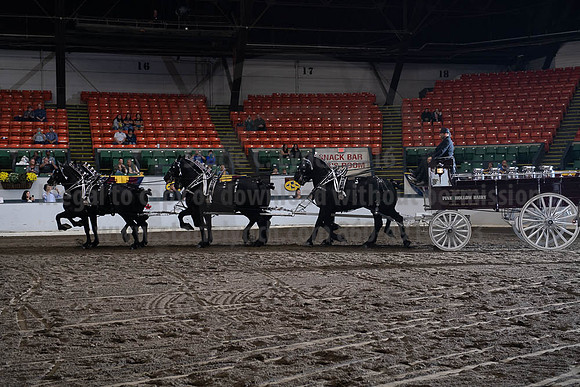 2019BigE_09272019_SCL_8634