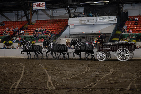 2019BigE_09272019_SCL_8636